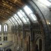 Natural History Museum