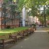 Un superbe jardin dans South Kensington